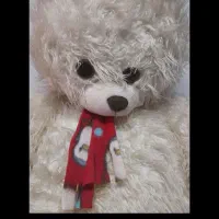 خرس یک متری