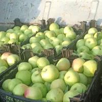 به یک نگهبان نیازمندیم
