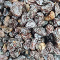مویز کشمش