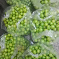 الوچه خوشمزه امروز از باغ چیده شده