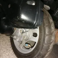 پاکشتی دیو در حد