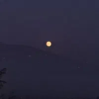 سیم کارت همراه اول