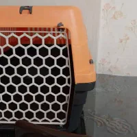 باکس حمل گربه و باکس خاک گربه