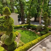 خدمات باغچه کاری باغبانی هرس کاری سمپاشی