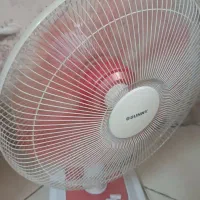 پنکه سانی درحدنو