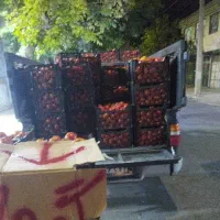 گوجه قوچان درجه یک