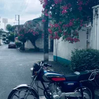 هوندا همتاز۱۵۰