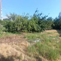 فروش-250متر-زمین-مسکونی-در-بازکیاگوراب