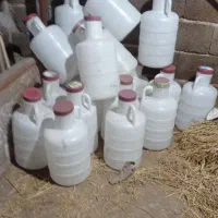 دبه خیار شور