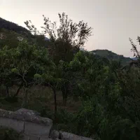 فروش زمین
