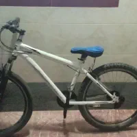 دوچرخه در شبستر