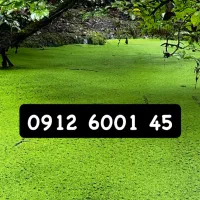 سیم کارت در حد صفر