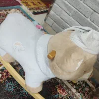 راکر