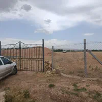29540 زمین باغی