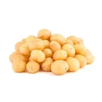 سیب زمینی ریز بذر