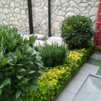 انجام کلیه امور باغبانی (بانمونه کارهای واقعی )