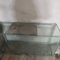 شیشه آکواریوم