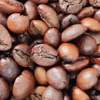 پخش عمده دان قهوه (رست تازه اختصاصی) کف قیمت + تست