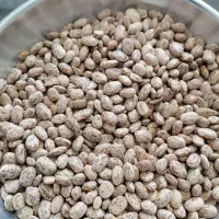 لوبیا چیتی