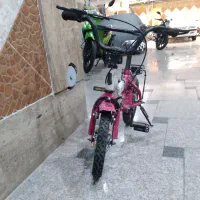 دو عدد دوچرخه