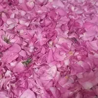 فروش گلاب درجه یک