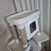خانه و اسکرچر گربه