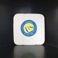 دکوری با گج با نقاشی تیم النصر
