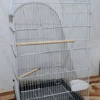 قفس بزرگ نو
