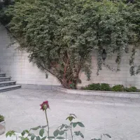 سوئیت 30 متری فقط خانم