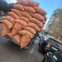 تراشه چوب وخاک اره چوب