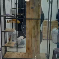 دکور|فروشگاه و مغازه|کوار, |دیوار