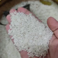 برنج طارم
