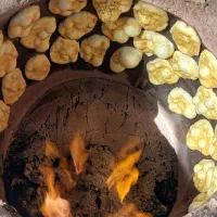 کار در فتیر پزی
