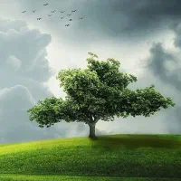 اجاره ۵ هکتار زمین آبی