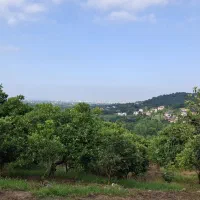 ۲۹۰۰۰متر  زمین با چشم انداز دریا و جنگل در تنکابن