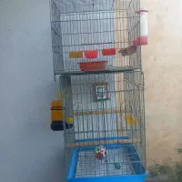 قفس پرنده
