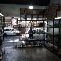 قفسه رگالی