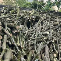 خرید و فروش چوب