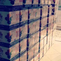 رنگ پودری خریدوفروش