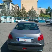 ۲۰۶sd ۹۴ کارشناسی شده سالم