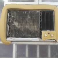 کوت عبدالله