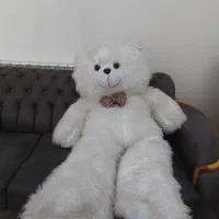 خرس سایز بزرگ