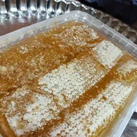 عسل طبیعی سبلان درجه یک طلایی