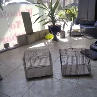 قفس پرنده کوچک جهت سهره