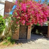 اجاره روزانه سوییت آپارتمان ویلا