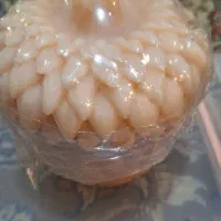 فروش شمع دستساز