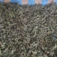 فروش سمسا