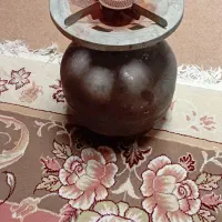 پیکنیک ژاپنی