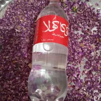 گلاب،نعناع، بادرشم، پنبرک، پونه خاص خانگی