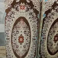 پشتی سالم دونه